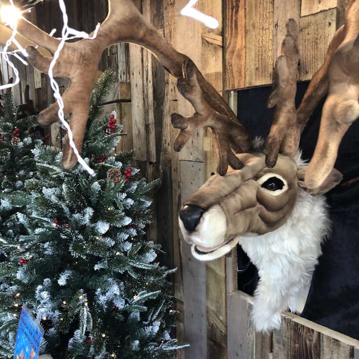 Christmas Attractions - Birkacre Garden Centre