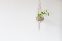 Indoor hanging basket