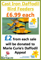 Marie Curie's Great Daffodil Appeal 2017