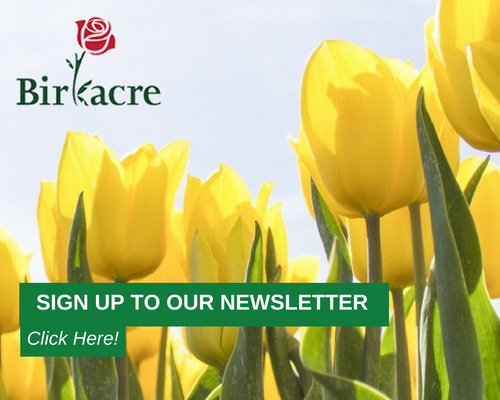 Sign up to our newsletter