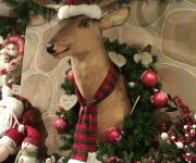 Christmas Open Evenings 24 & 25th October 2018