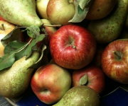 Apple & Fruit weekend 6 & 7th October 2018