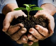 National Gardening Week 28th April to 4th May 2019