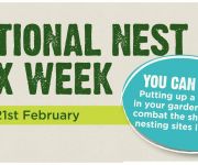 National Nest Box Week 14-21st February 2019