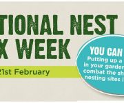 National Nest Box Week 14-21st February 2019