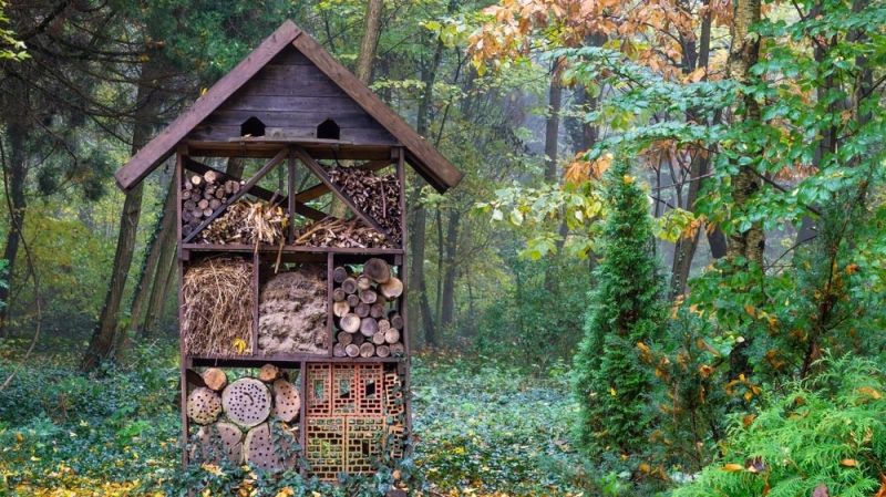 Install an insect hotel