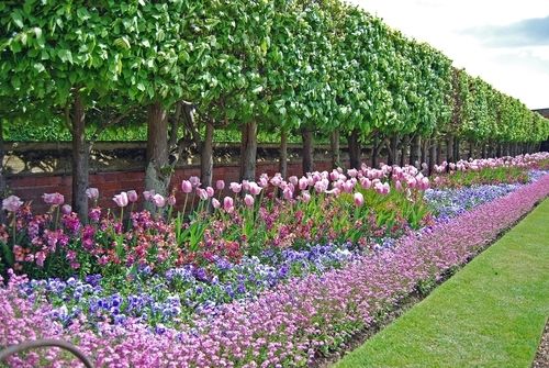 RHS Hampton Court Palace Flower Show