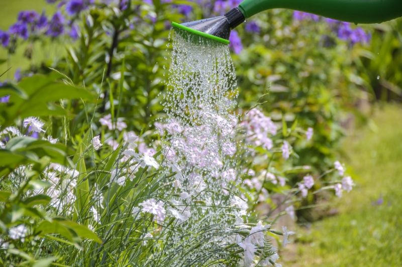 Ways to water your garden