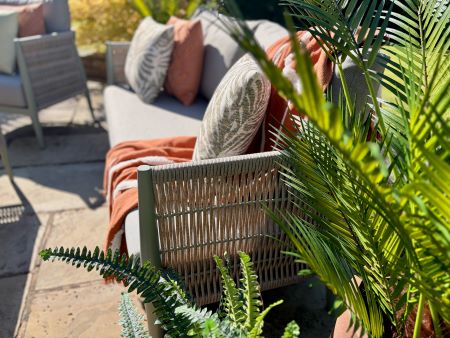 Oasis small lounge - image 4